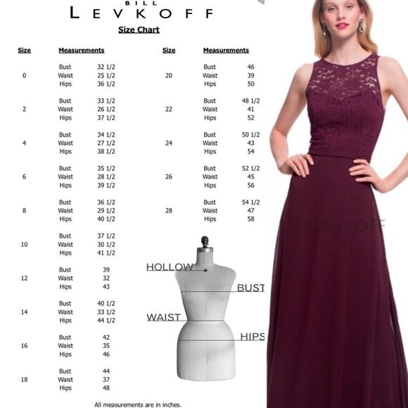 Bill Levkoff Bridesmaid Gown Dress #7027 Lace Chiffon Wine Size 2 New with tags - Picture 10 of 10